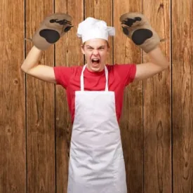 Bear Claws - Gloves for Oven