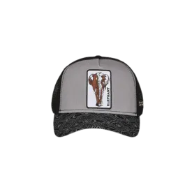 Cuadra Men's Elephant Black Patch Cap
