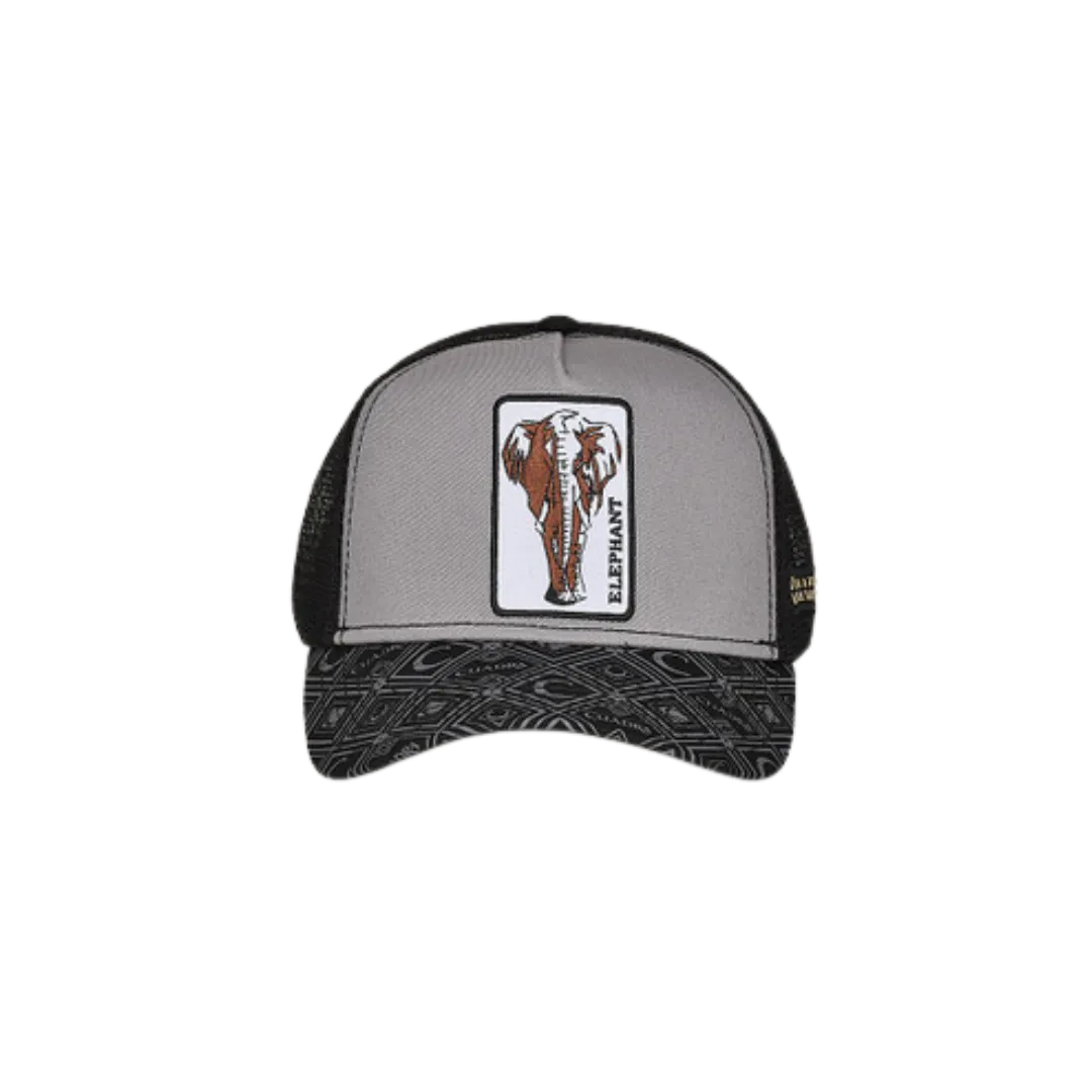 Cuadra Men's Elephant Black Patch Cap