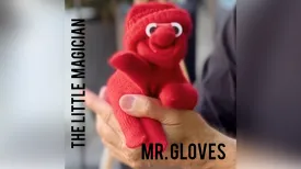 Mr Gloves Puppet by Juan Pablo