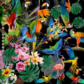 Nikolas Kohl Bird's ballet black/brights  NK78-1 90cm