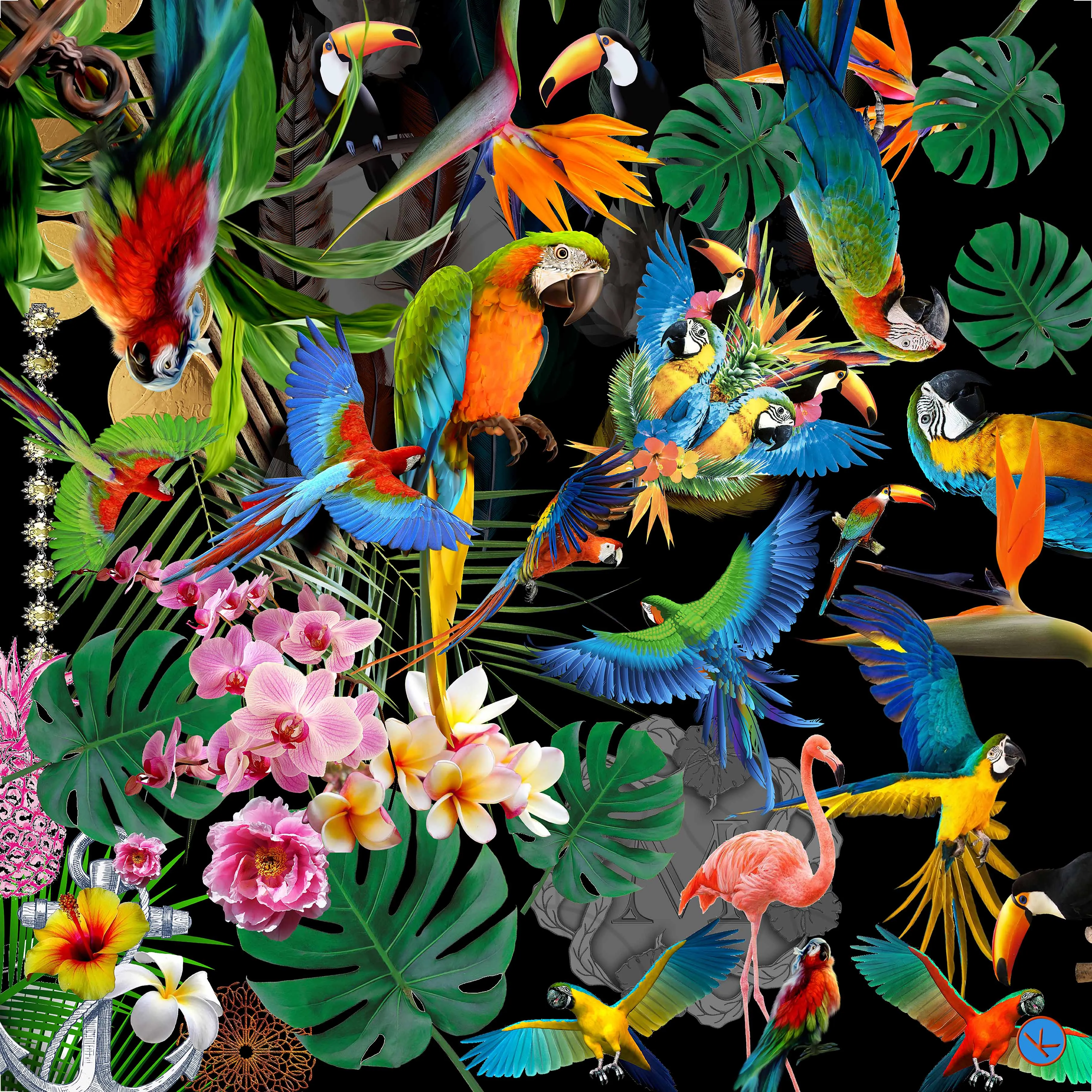 Nikolas Kohl Bird's ballet black/brights  NK78-1 90cm